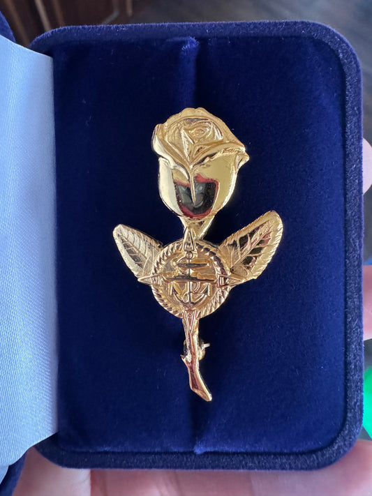 Rosa del litoral bañada en oro