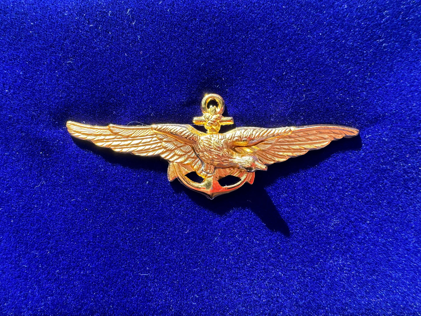 Piocha Aviación Naval Oficial