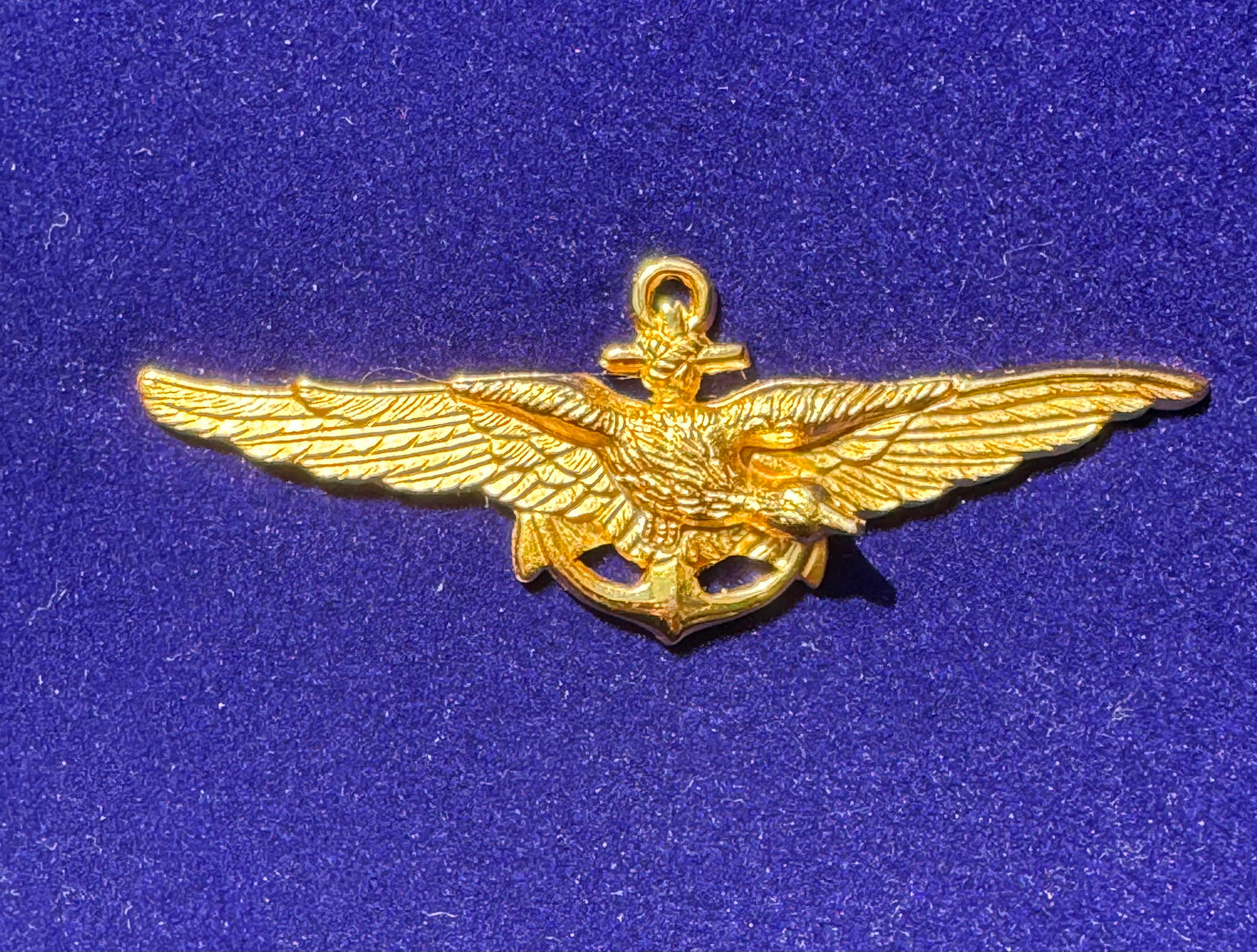 Piocha Aviación Naval Piloto
